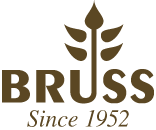 logo (3)